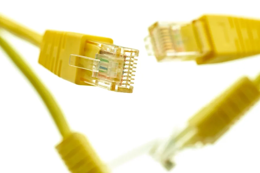 Network cables with connectors on a clean white background